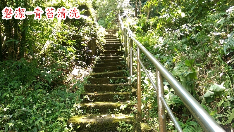 磐潔-登山步道-青苔清洗